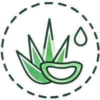 Aloe Vera Enriched